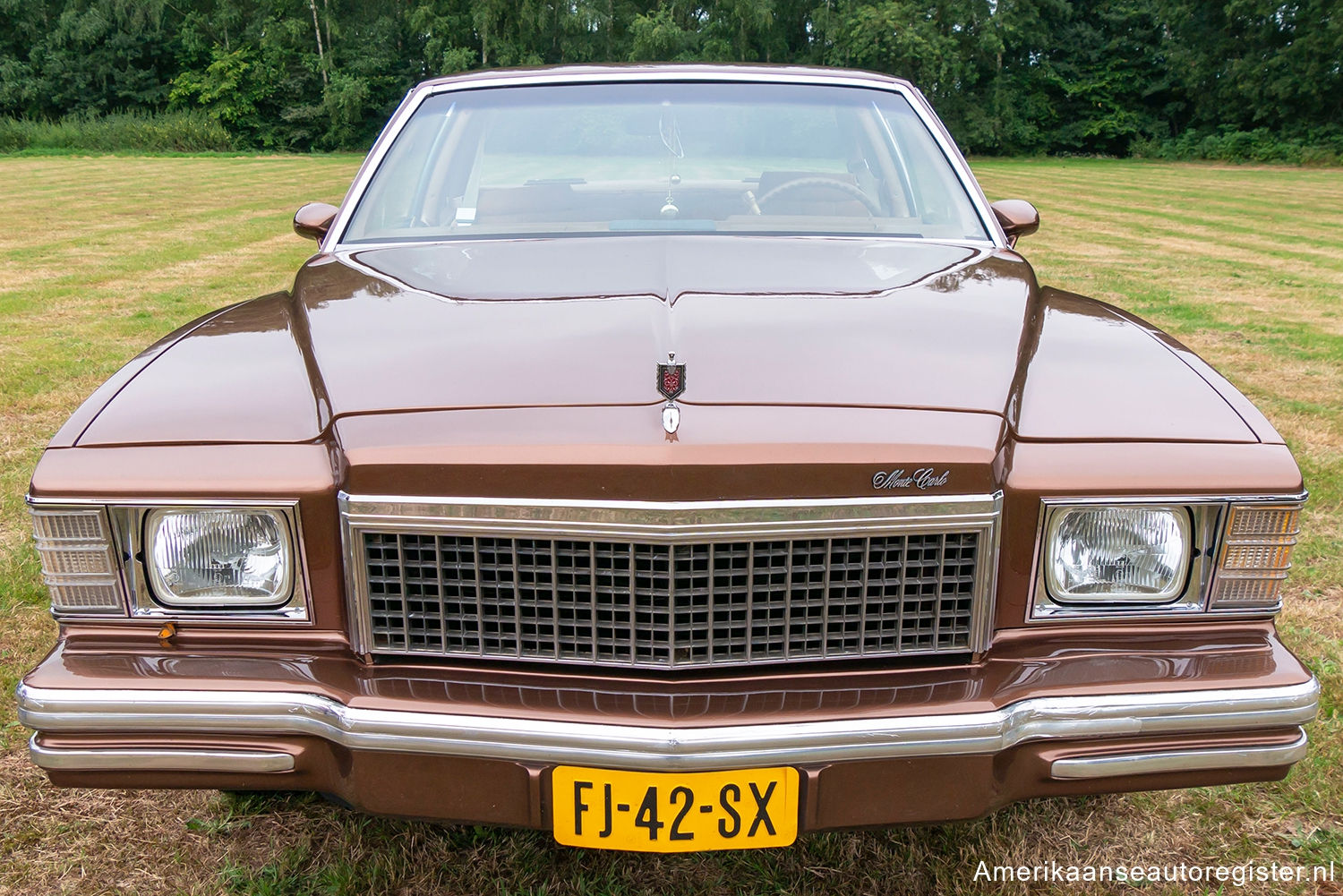 Chevrolet Monte Carlo uit 1979